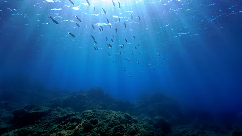 How AI Can Help Protect Oceans Jo Adetunji Column February 2023_1