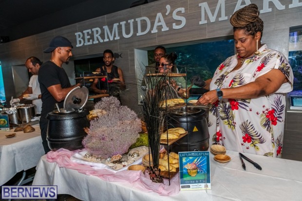 Lionfish Chowder Competition BZS BMAZ Bermuda Feb 2023 JS (6)