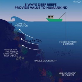Why deep reefs are worth saving Jo Adetunji Column February 2023