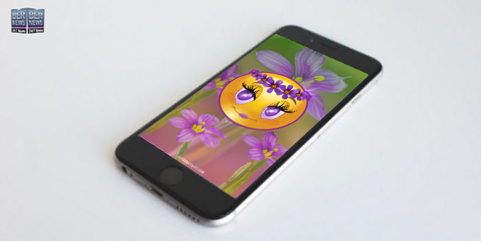 Phone wallpaper wednesday TWFB Emoji With Bermudiana Flower Headdress Bermuda
