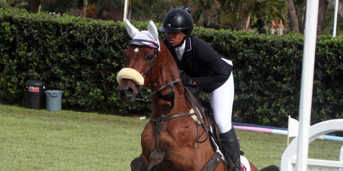 2023 Ag Show Horse Jumping Results, PDF, Sports Competitions