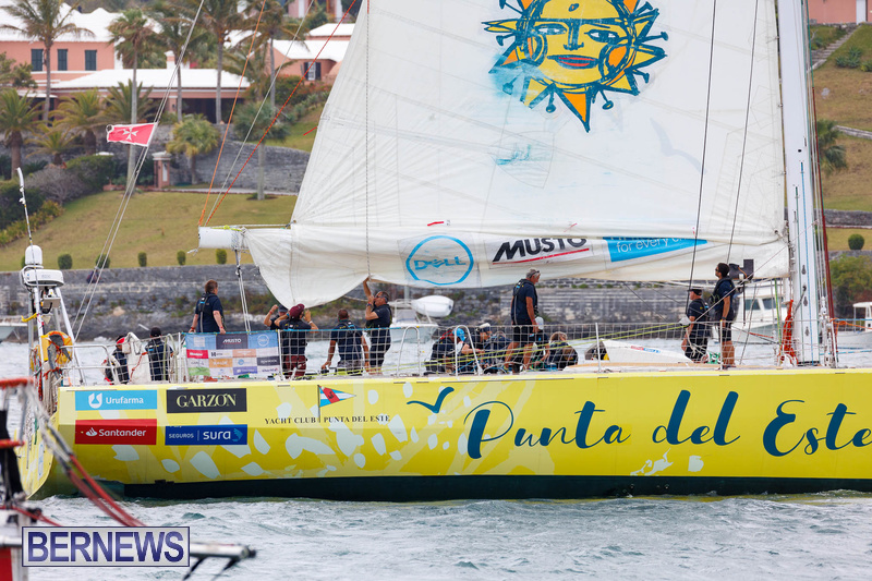 Clipper Race Yachts Bermuda June 2022 DF (16)