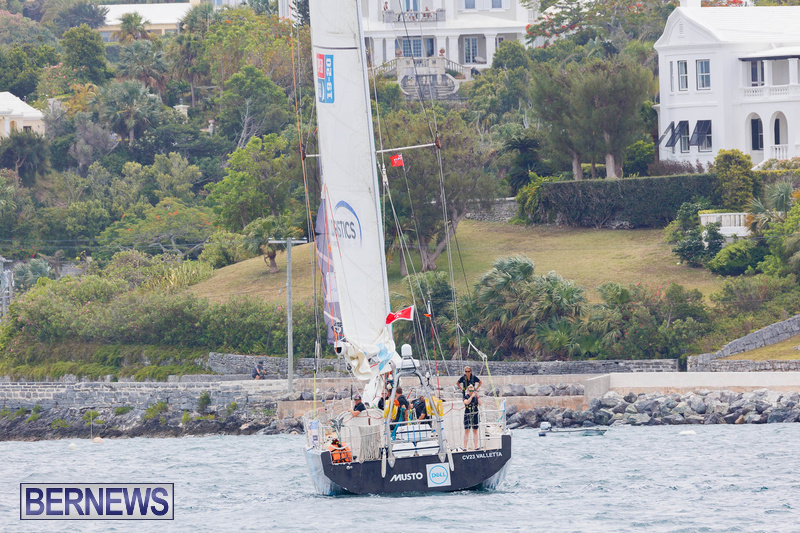Clipper Race Yachts Bermuda June 2022 DF (18)