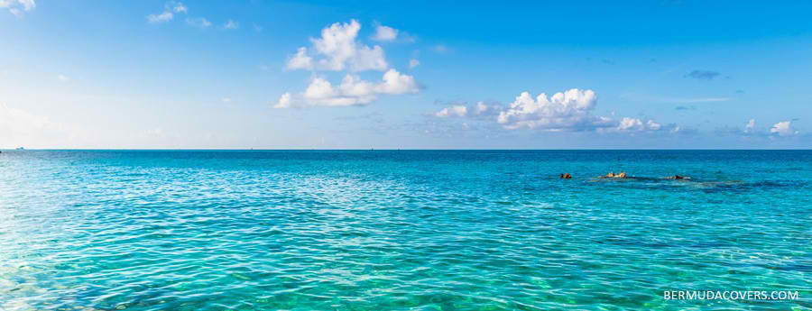 Scenic-Serene-Horizon-Bermuda-image-Bernews-Bermudacovers-photo-34245423-1
