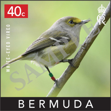 Backyard Birds Commemorative Stamp Bermuda September 2023 (2)