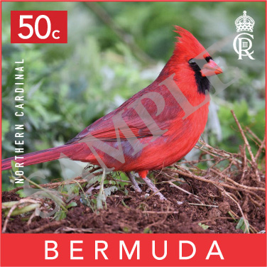 Backyard Birds Commemorative Stamp Bermuda September 2023 (3)
