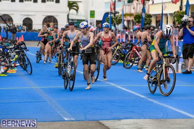 2022 Bermuda WTCS Triathlon elite women AW (150)