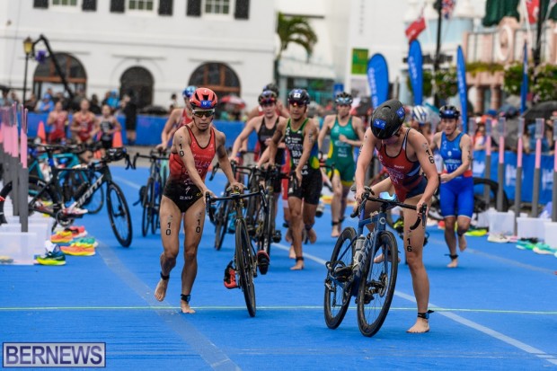 2022 Bermuda WTCS Triathlon elite women AW (155)