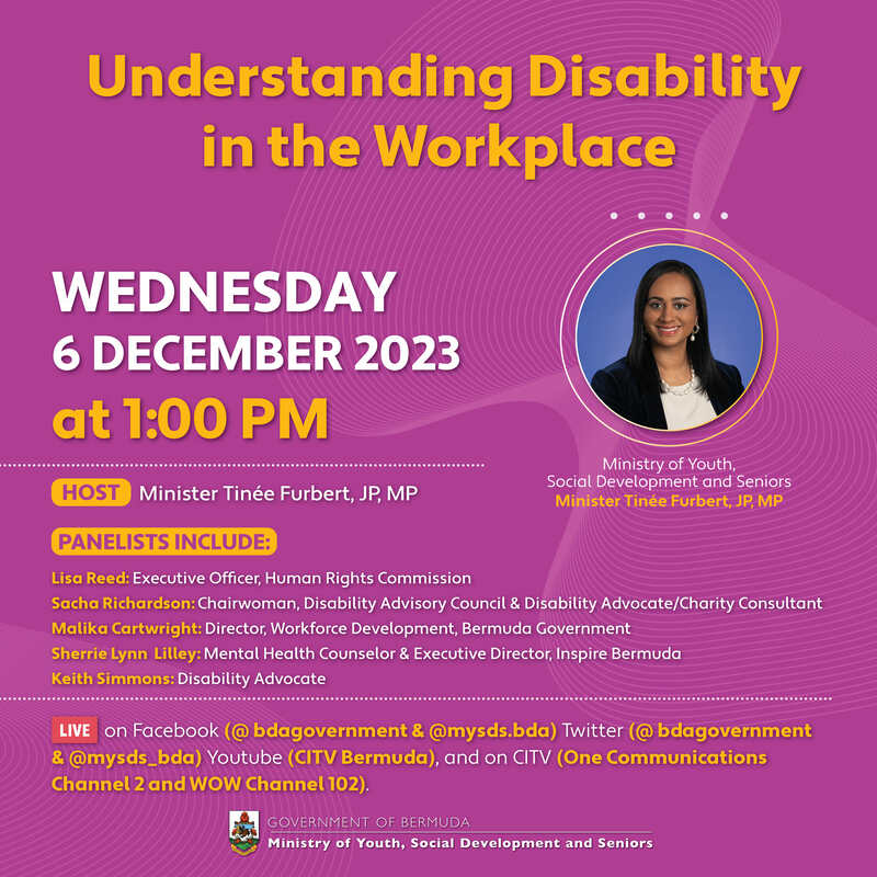 Disability in the Workplace Panel Discussion Bermuda November 2023