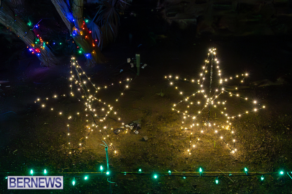 Somers Garden Christmas Lights Bermuda Dec 8 2023 DF-4