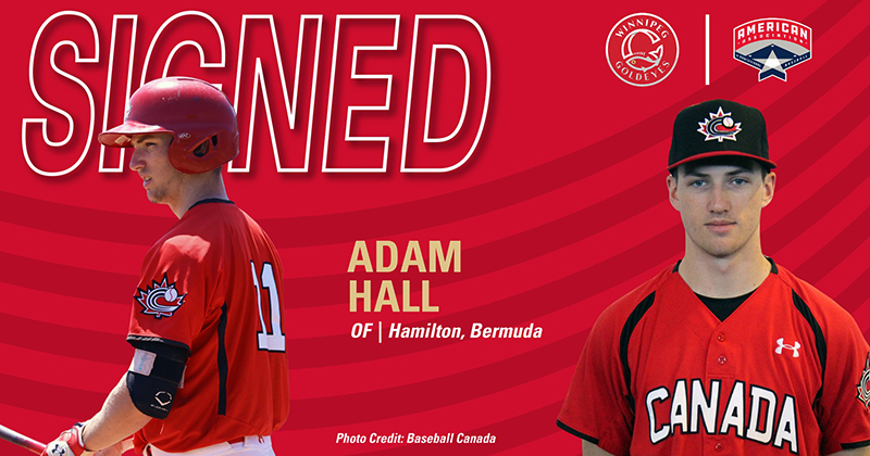 Baseball: Winnipeg Goldeyes Sign Adam Hall - Bernews