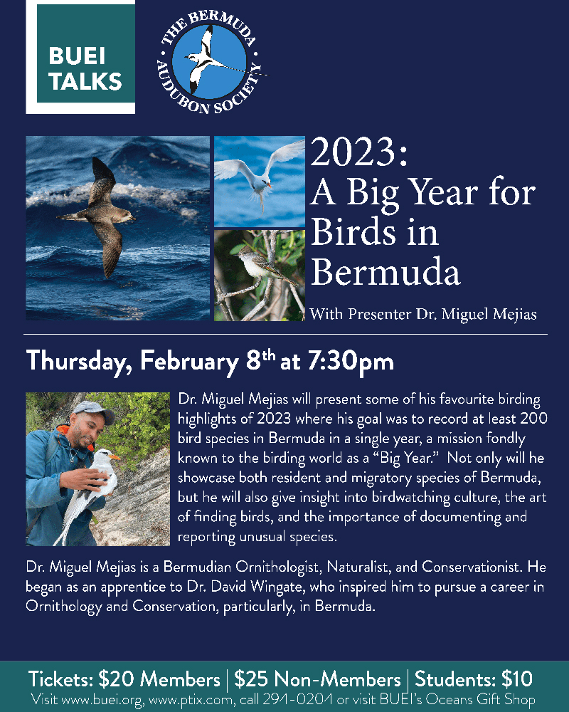 BUEI Talks Audubon Society Bermuda Feb 6 2024