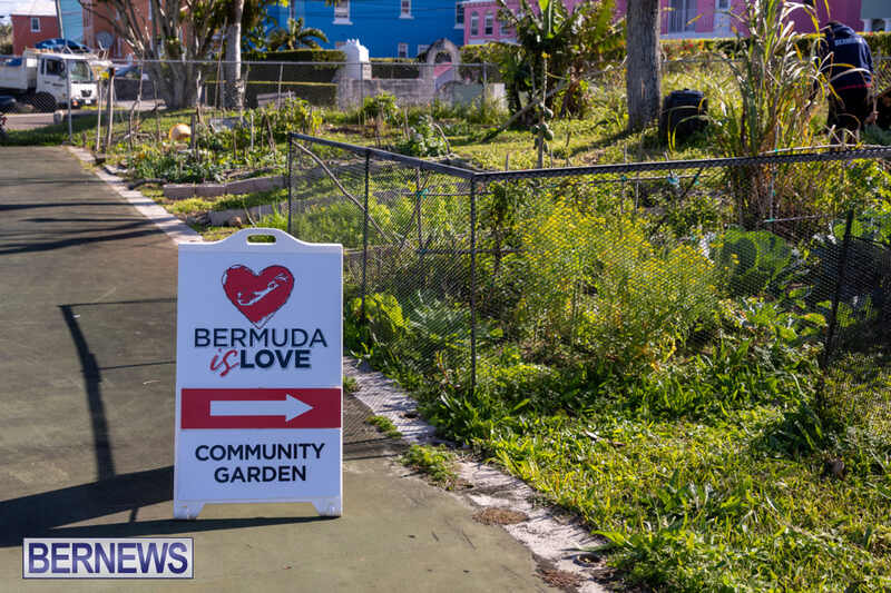 Community Garden Bermuda February 2024_1