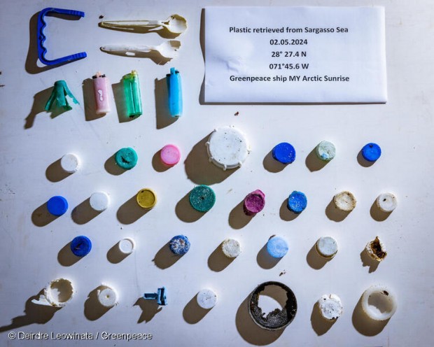 Plastic found in the Sargasso Sea