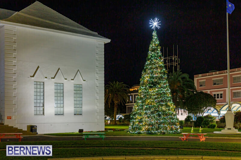 Christmas Trees Around The Island Bermuda Dec 2024 (1)