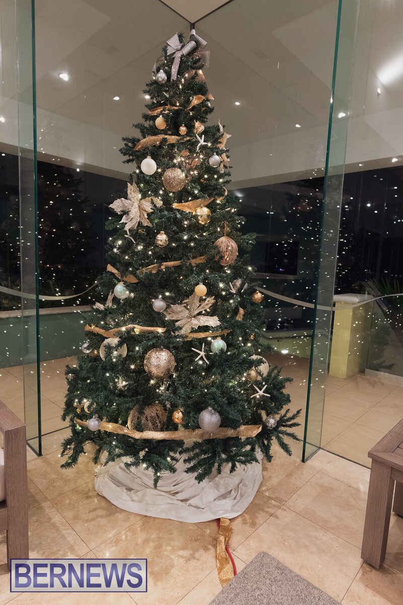 Christmas Trees Around The Island Bermuda Dec 2024 (2)