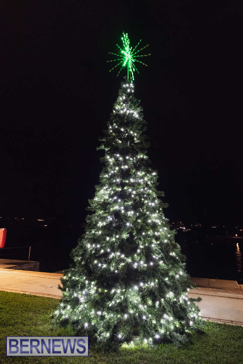 Christmas Trees Around The Island Bermuda Dec 2024 (4)