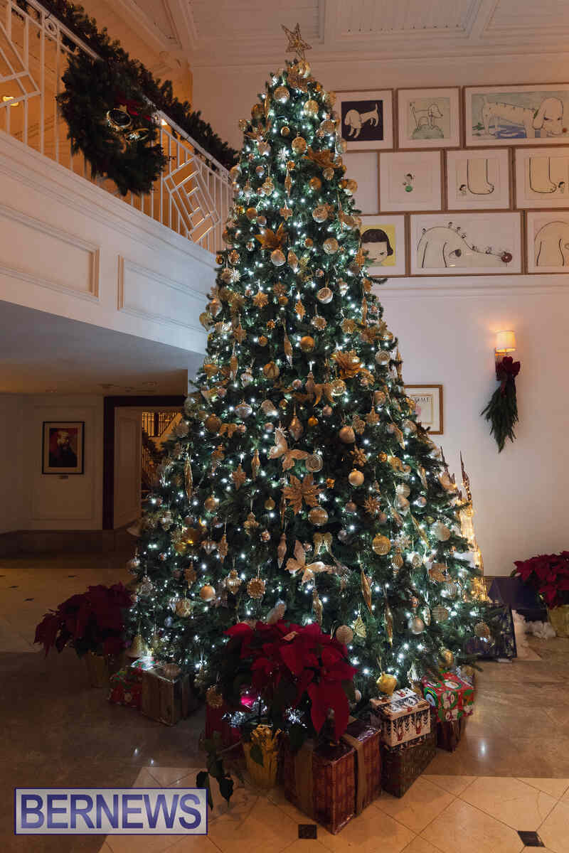 Christmas Trees Around The Island Bermuda Dec 2024 (5)