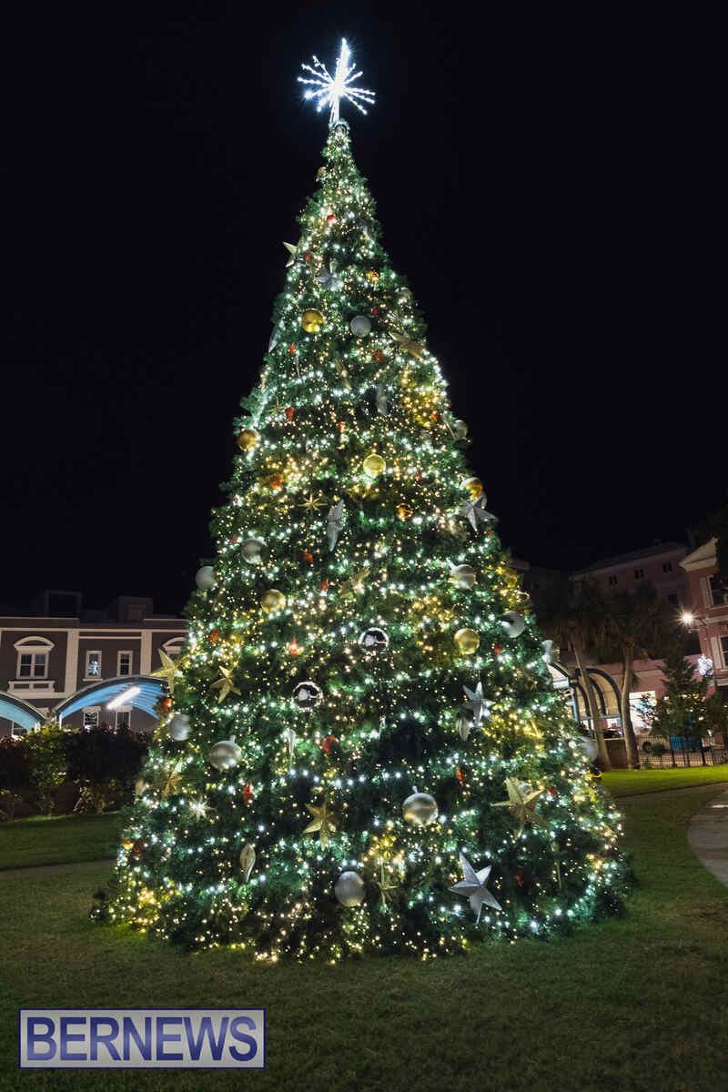 Christmas Trees Around The Island Bermuda Dec 2024 (7)