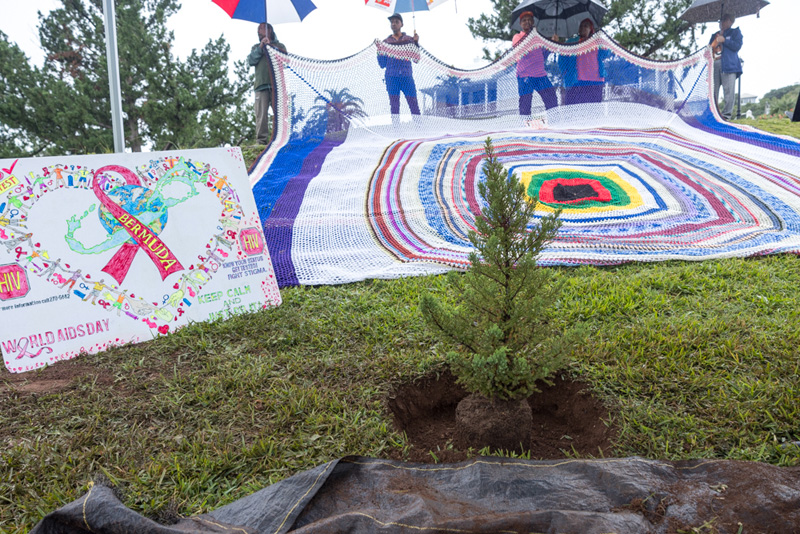 Photos TreePlanting Marks World AIDS Day Bernews