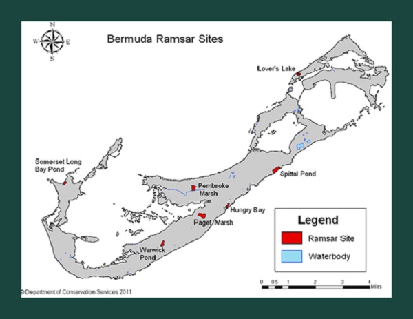 Bermuda Ramsar wetlands location map from DENR
