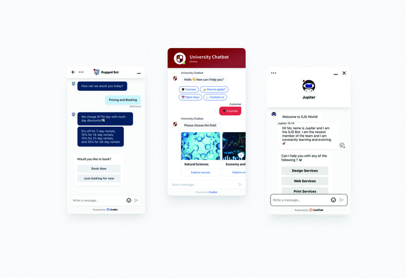 SJD World AI Chatbot Service Bermuda Jan 2025 (3)