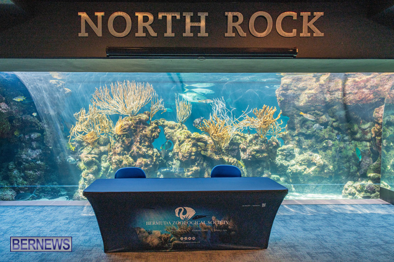 Lionfish Chowder Competition Bermuda March 2025 (1)