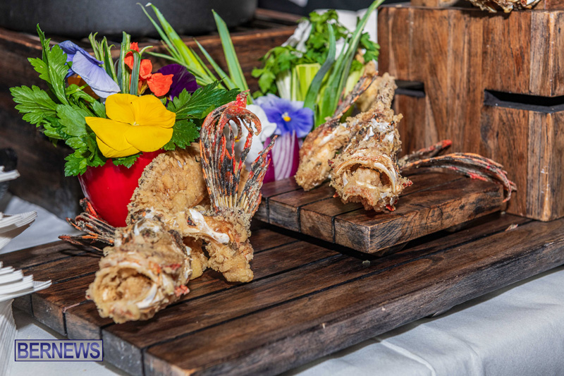 Lionfish Chowder Competition Bermuda March 2025 (22)