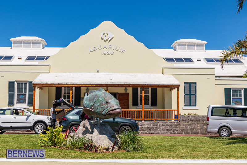 Lionfish Chowder Competition Bermuda March 2025 (38)