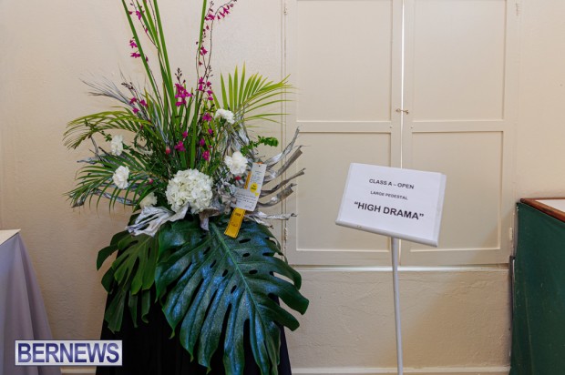 Agricultural Exhibition Bermuda April 25 2025 DF-133