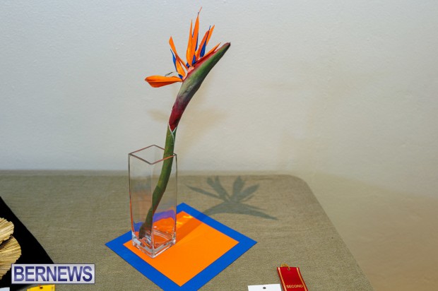 Agricultural Exhibition Bermuda April 25 2025 DF-136