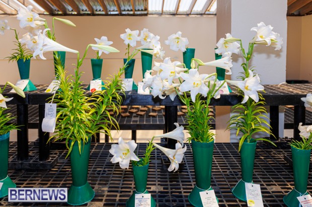 Agricultural Exhibition Bermuda April 25 2025 DF-16