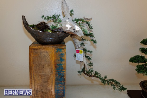 Agricultural Exhibition Bermuda April 25 2025 DF-18