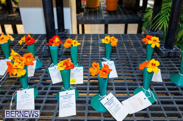 Agricultural Exhibition Bermuda April 25 2025 DF-23