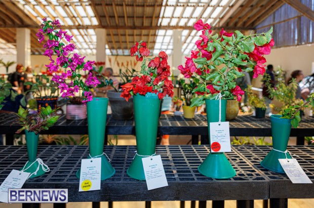 Agricultural Exhibition Bermuda April 25 2025 DF-24