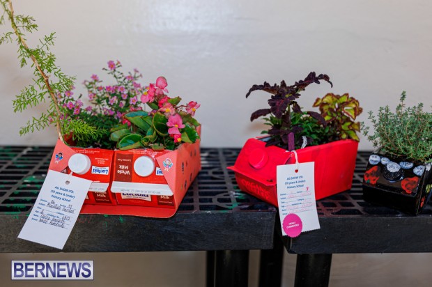 Agricultural Exhibition Bermuda April 25 2025 DF-27