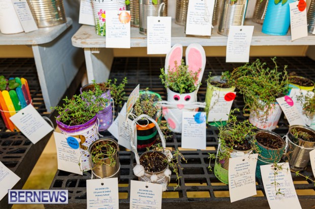 Agricultural Exhibition Bermuda April 25 2025 DF-49