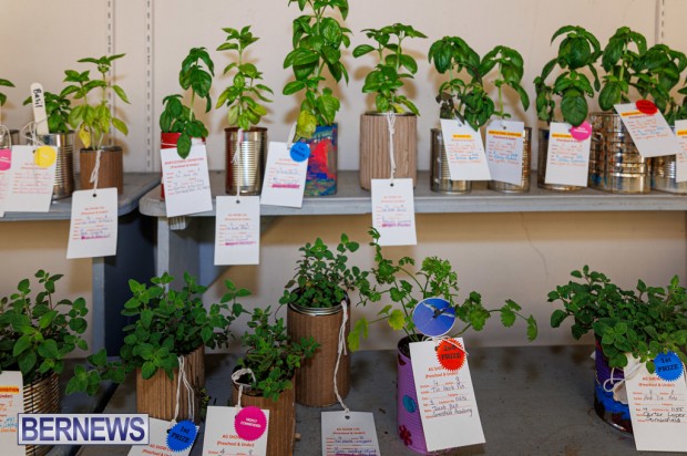 Agricultural Exhibition Bermuda April 25 2025 DF-51