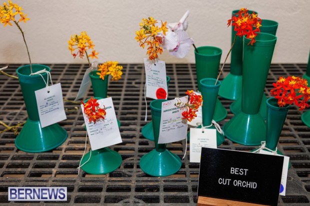 Agricultural Exhibition Bermuda April 25 2025 DF-61