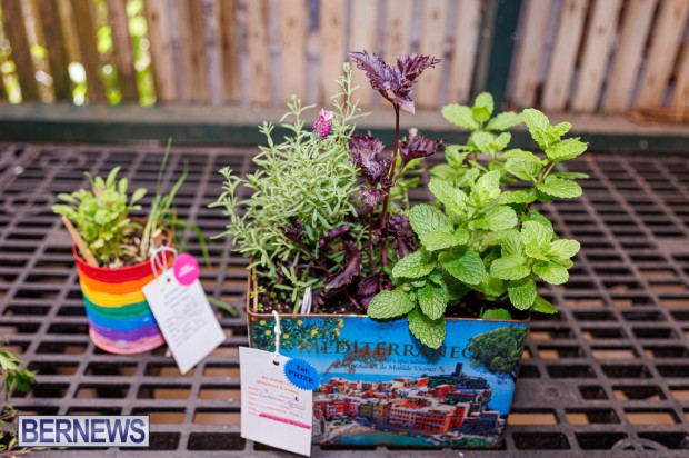 Agricultural Exhibition Bermuda April 25 2025 DF-66