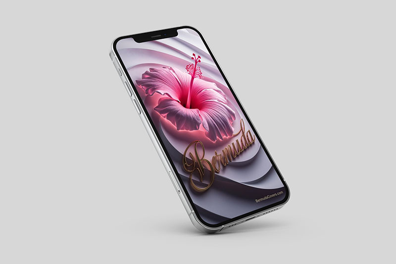 Bermuda Hibiscus Swirl REGULAR