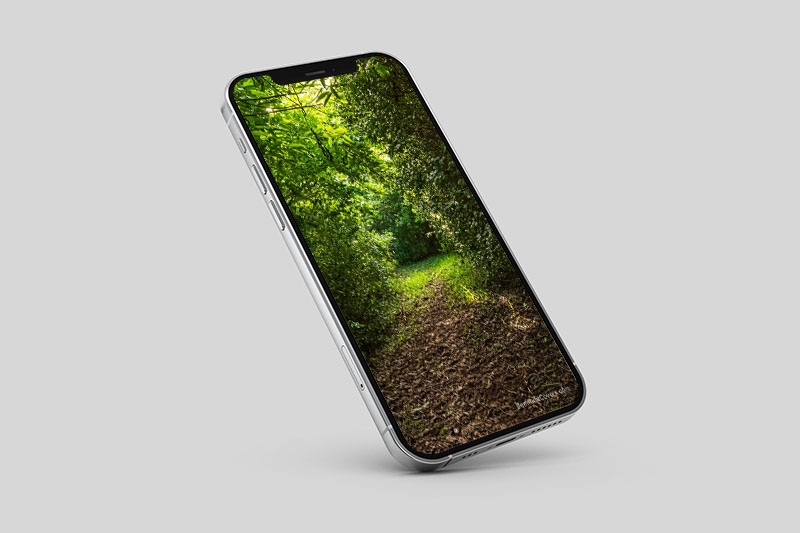 Peaceful Pathway Bermuda Phone Mockup Bermuda April 2025 Regular