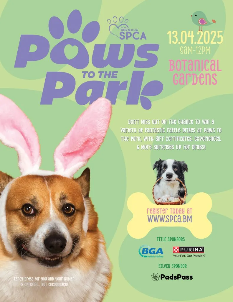 bga-paws-to-the-park435354