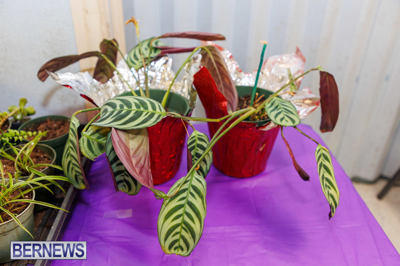 Stitch-A-Thon Bermuda May 24 2025 DF-14