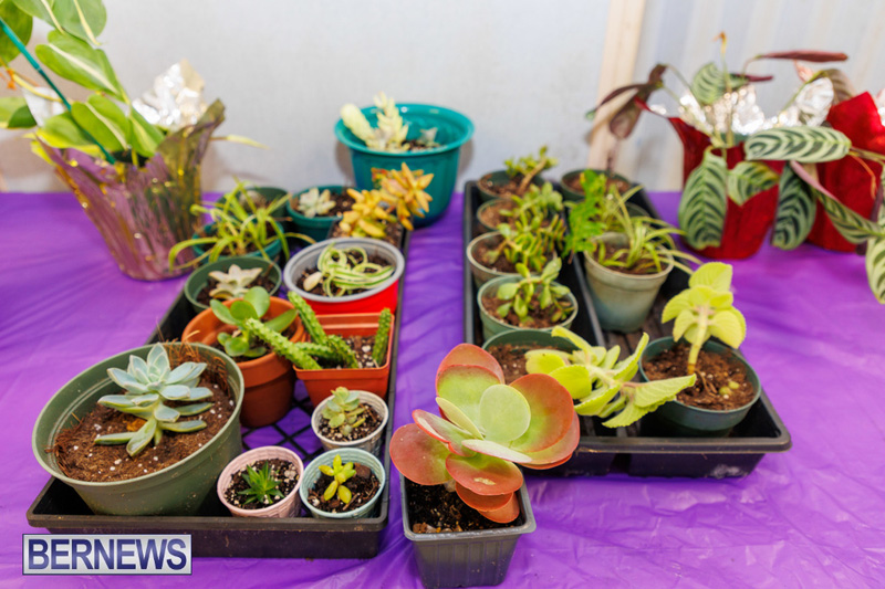 Stitch-A-Thon Bermuda May 24 2025 DF-15