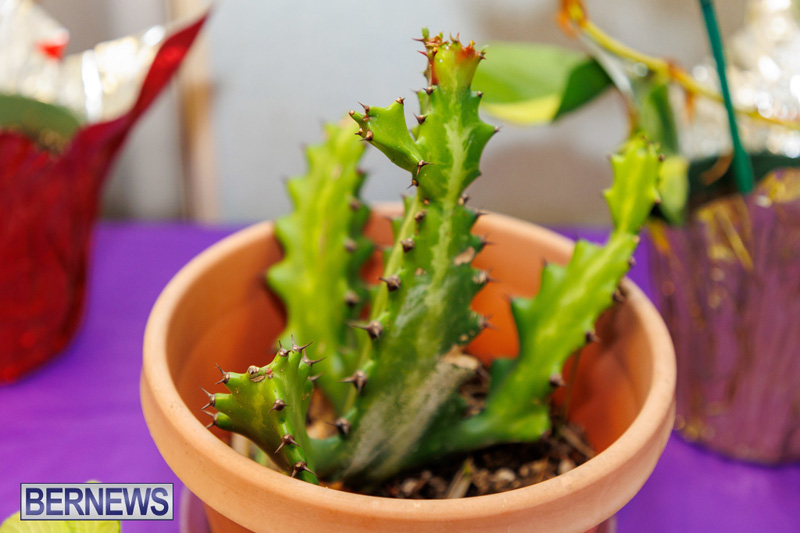 Stitch-A-Thon Bermuda May 24 2025 DF-18