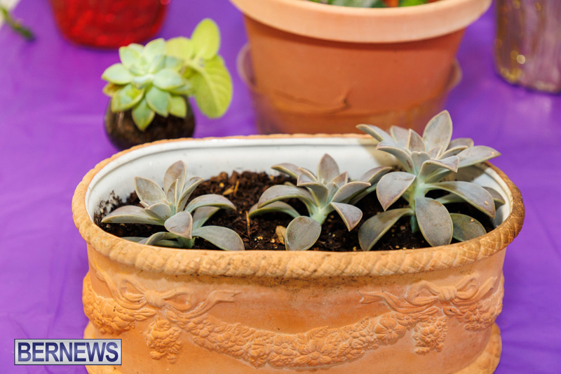 Stitch-A-Thon Bermuda May 24 2025 DF-19