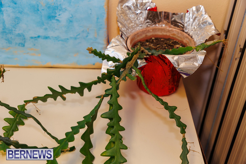 Stitch-A-Thon Bermuda May 24 2025 DF-20