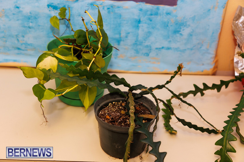 Stitch-A-Thon Bermuda May 24 2025 DF-21