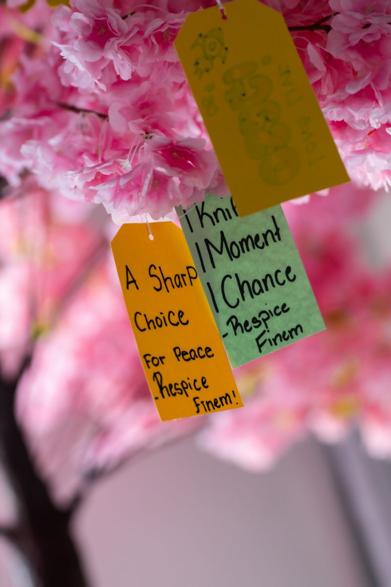 'Truth Be Told' Campaign Bermuda July 2025 (45)